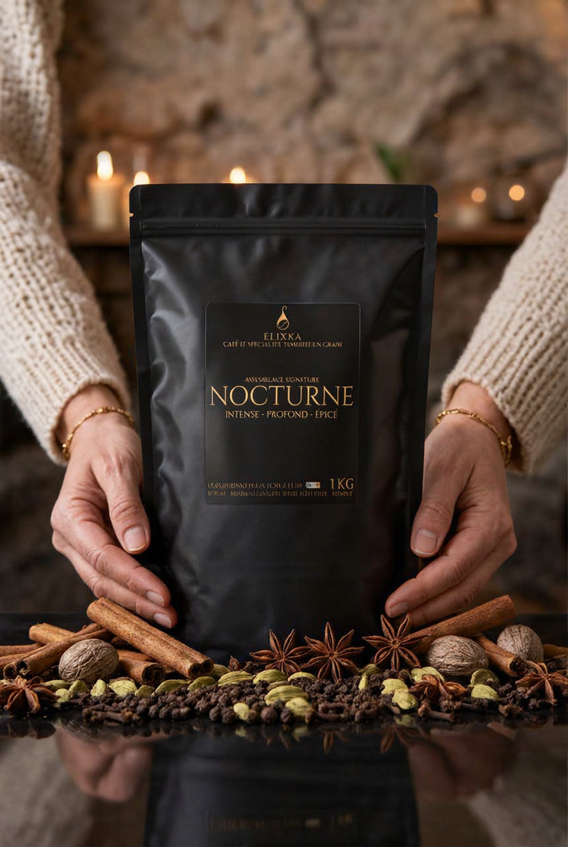 NOCTURNE