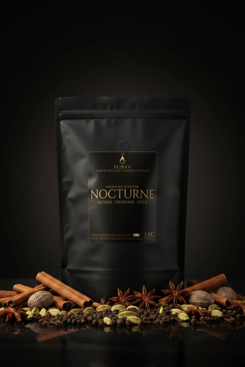 NOCTURNE